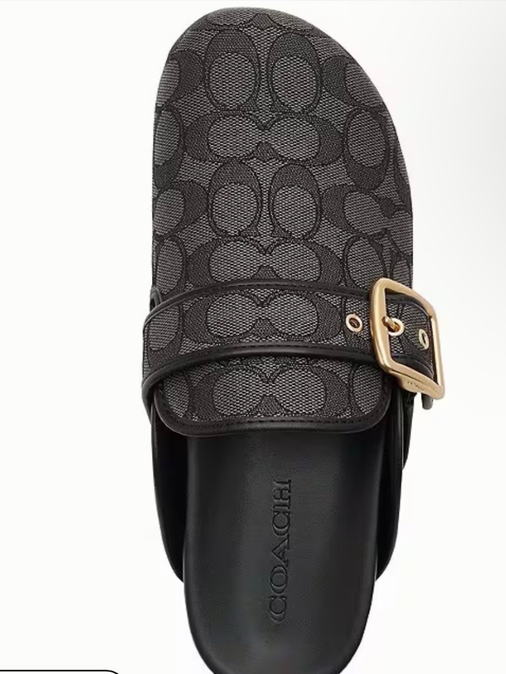 Archival Buckle Clog
